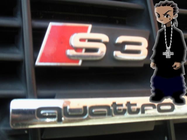 Audi Club (South Africa) - 8L