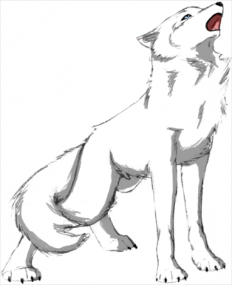 whitewolf.png