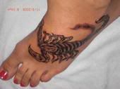 scorpio Tattoo Gallery On Foot