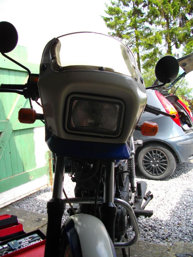 IMGP1147.jpg
