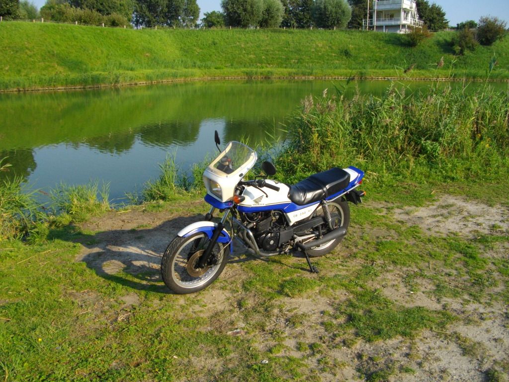 IMGP1171.jpg
