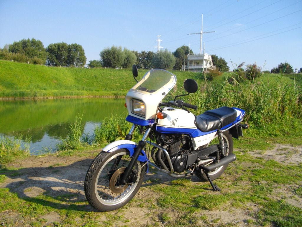 IMGP1172.jpg