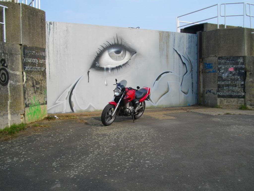 IMGP1577_zpsdfbd1084.jpg