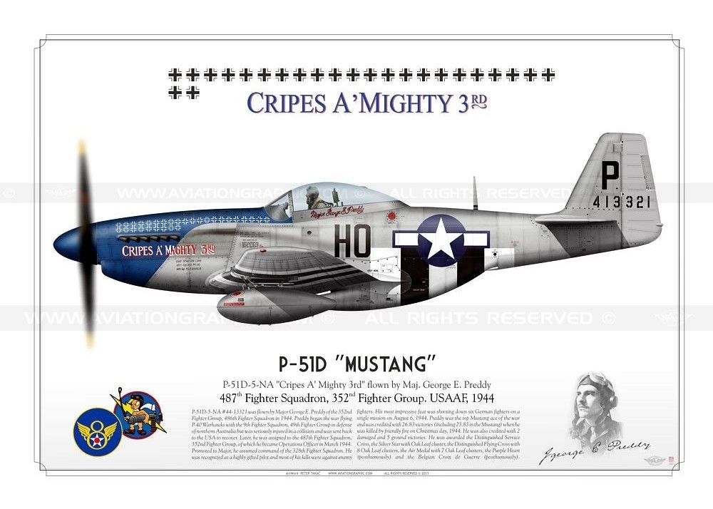 p-51d-mustang-petie-2nd-usaaf-tk-01_zpse