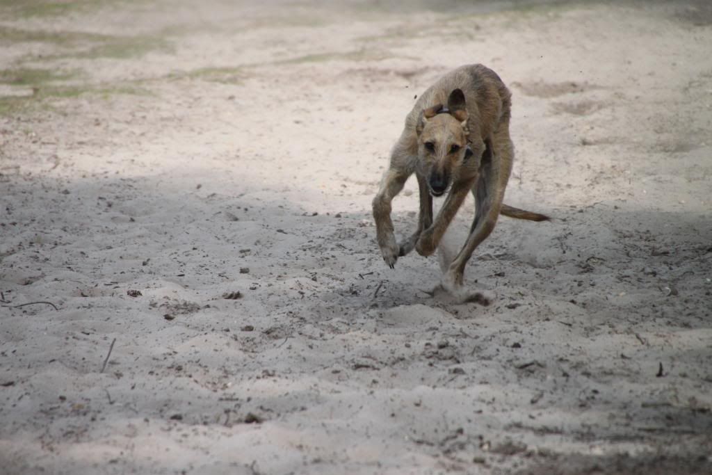 IMAGE: http://i690.photobucket.com/albums/vv265/CATERHAM/IMG_5579-1.jpg