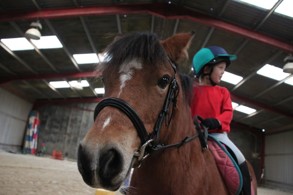 IMAGE: http://i690.photobucket.com/albums/vv265/CATERHAM/POTN/IMG_7112.jpg