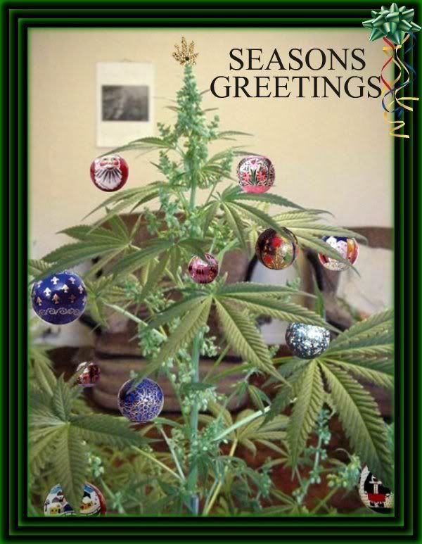 Merry Christmas Photo by Winnie_019 Photobucket