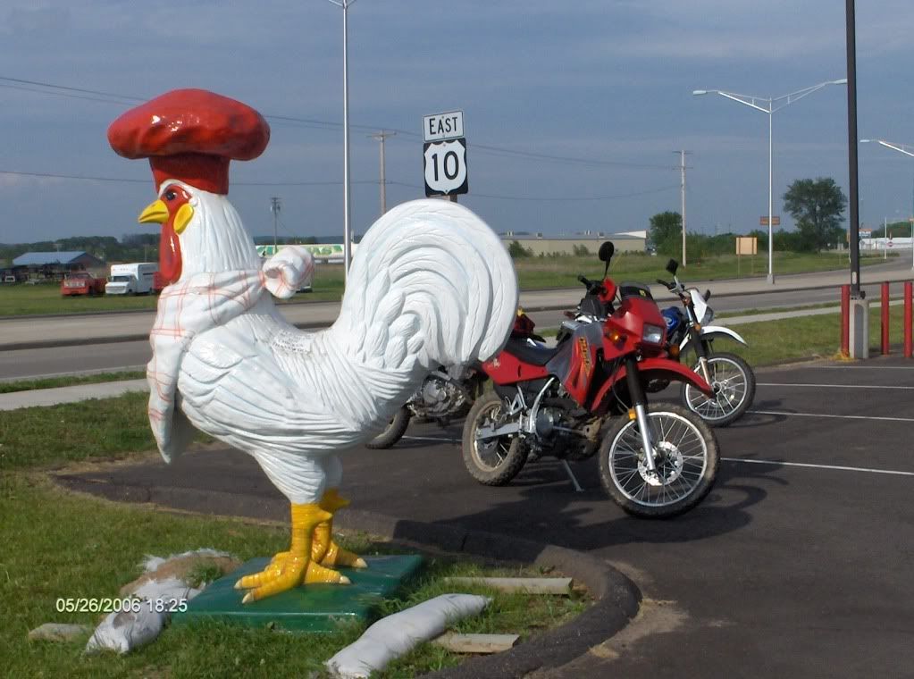 Chicken