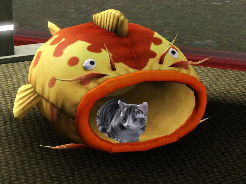 Filou1.jpg