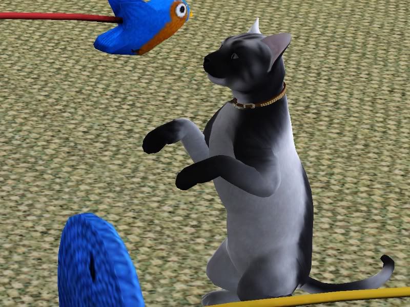 Frida2.jpg