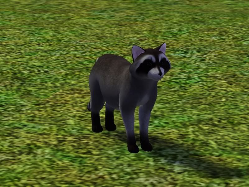 Robyn12.jpg