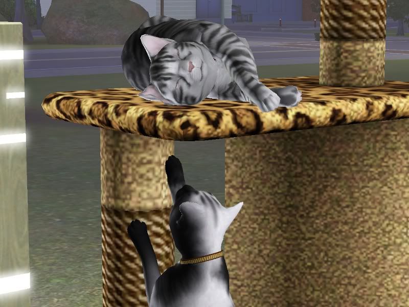filoufrida2.jpg
